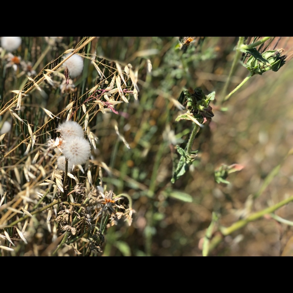 Meet your Posher, Vicki